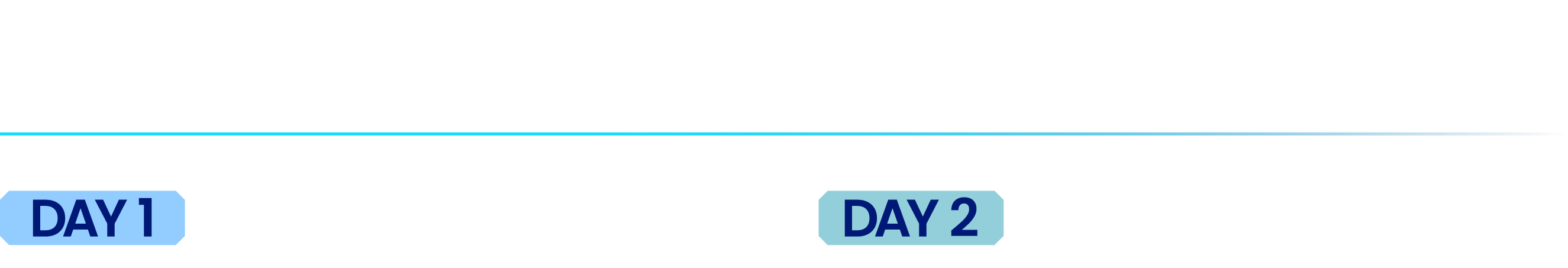 일정 및 컨퍼런스 안내